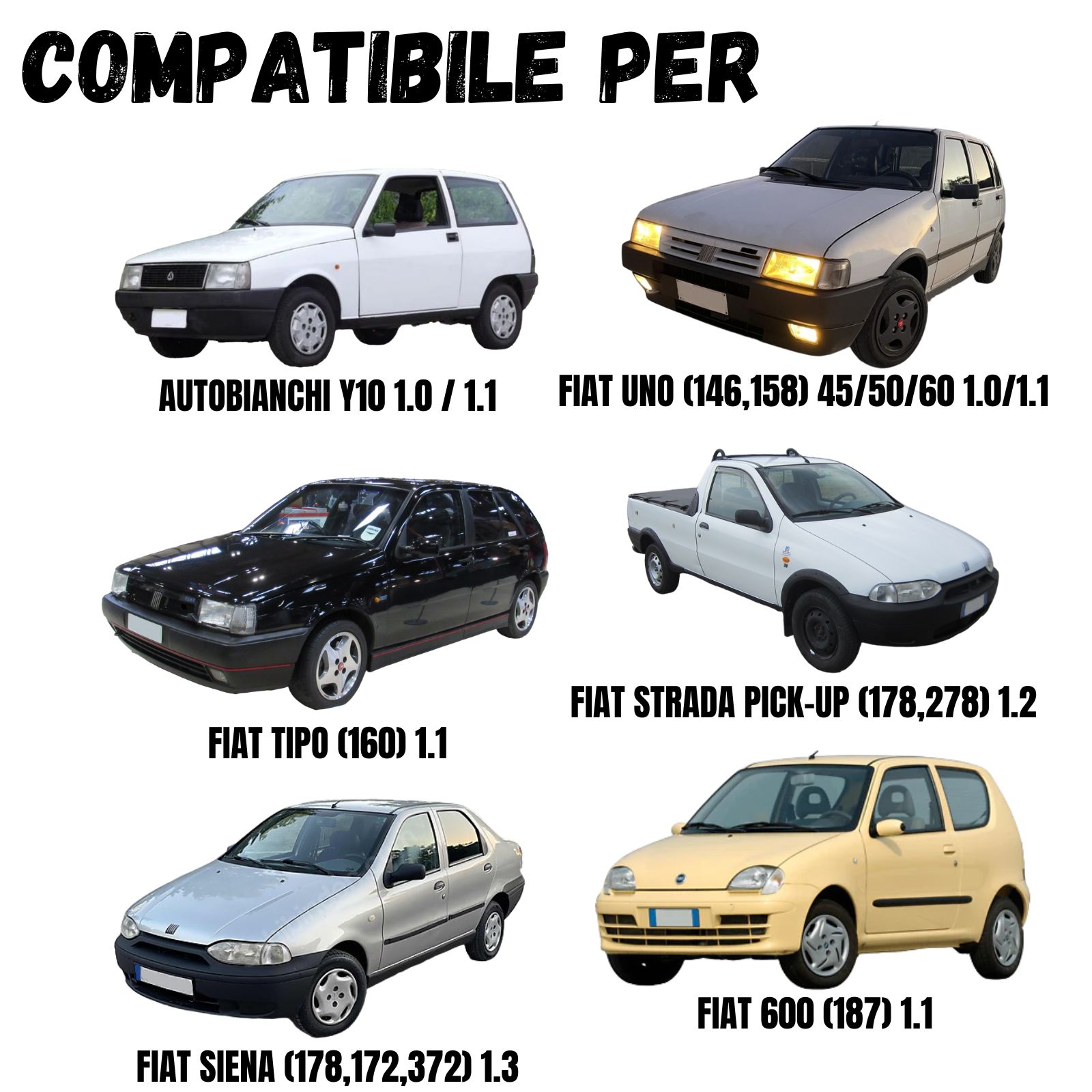 PAYEKG1